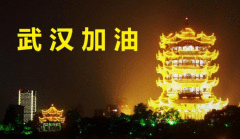 <b>武汉人口2019统计:从非典到新冠之前，武汉人口总</b>