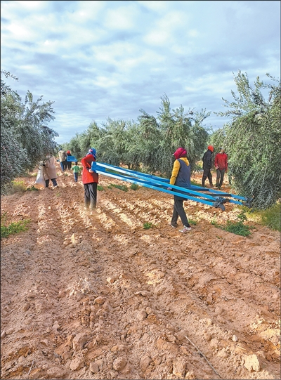 薛辕剑 突尼斯这样提升橄榄油知名度（第一现场）